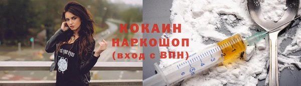 эйфоретик Бородино
