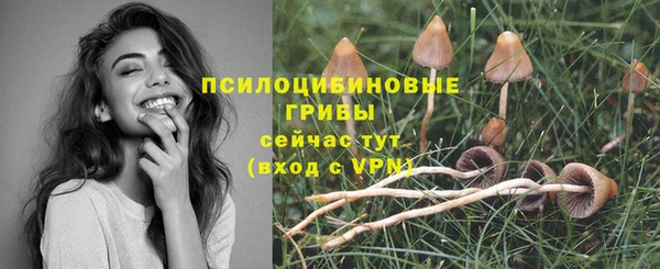 меф Бугульма
