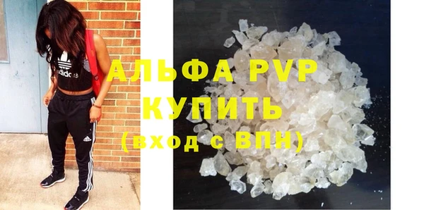 эйфоретик Бородино